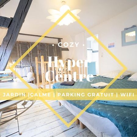 Les Cieux De La Cathedrale - Calme - Jardin - Wifi Apartment Troyes Luaran gambar