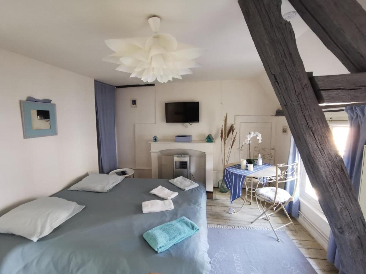 Les Cieux De La Cathedrale - Calme - Jardin - Wifi Apartment Troyes Luaran gambar