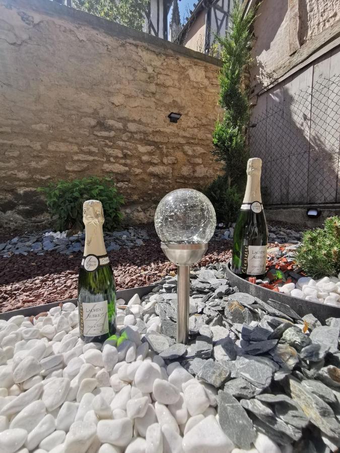 Les Cieux De La Cathedrale - Calme - Jardin - Wifi Apartment Troyes Luaran gambar