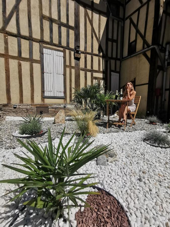 Les Cieux De La Cathedrale - Calme - Jardin - Wifi Apartment Troyes Luaran gambar