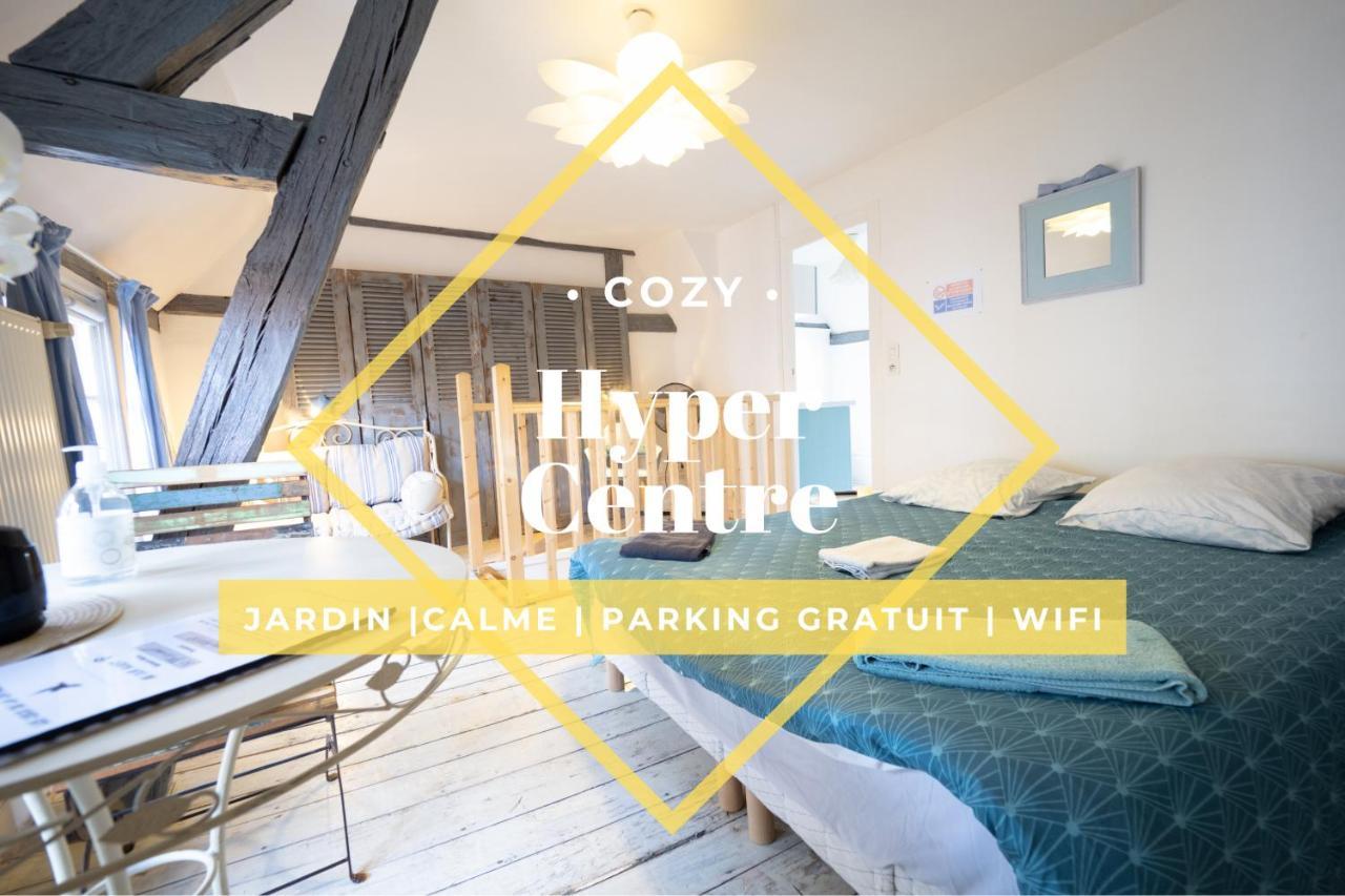 Les Cieux De La Cathedrale - Calme - Jardin - Wifi Apartment Troyes Luaran gambar